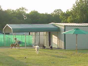 Main play yard of McKinney, TX Kennel Site