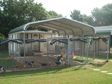 covered dog run for small dogs