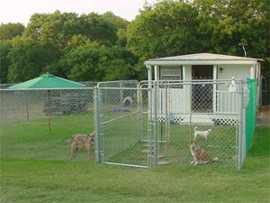 Main small dog play yard of McKinney, TX kennel site